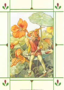 Flower Fairies B Pack of 4 prints Size 10 x 8 - 3107