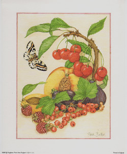 Fruits Pack of 6 Prints Print Size 10 x 8 - 357