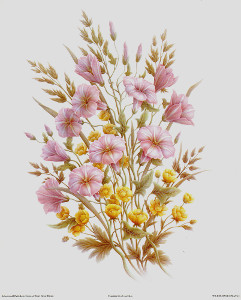 Wild Flowers Print Size 10 x 8 - 3624