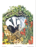 Badger pack of 6 prints Size 7 x 91/2 - 365