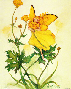 Buttercup Fairy 95717 Print Size 10 x 8 - 3662