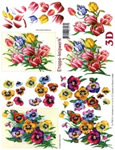Pansies And Tulips - 4169124