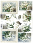 White Flowers - 4169462