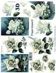 White Rose - 4169625