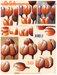 Tulip Bubs - 4169701