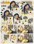 Indian Wolf - 4169798