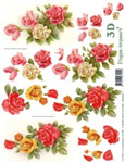 Red Pink Yellow Roses - 416981
