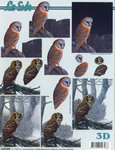 Owls - 4169890