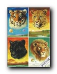 Large Cats - 4170154