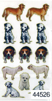 Dogs x13 Gold line Stickers - 44526