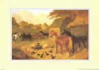 Horse on Farm Pack of 5 Prints Size 10 x 8 - 458