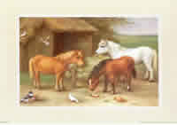 Ponies by the Hay Pack of 5 Prints Size 10 x 8 - 459