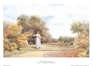 My Lady's Garden Pack of 5 prints Size 10 x 8 - 464