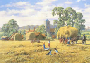 Collecting Hay Pack of 5 prints Size 10 x 8 - 466