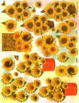 Sun Flowers - 504119