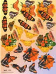 Butterflies - 504153