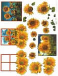 Sunflowers - 504237