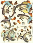 Dophin And Shells - 504694