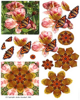 Butterflies - 425405