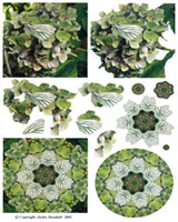 Butterflies - 425408