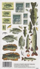 EZ Rub On Fishing Stamps - 627BAC