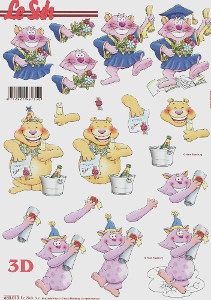 Le Suh Diecut Congratulations you Passed A4 Sheet - 680013