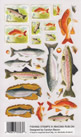 EZ Rub On Fishing Stamps 111 - 695BAC