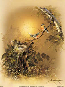 Birds Nesting In Tree Trunk SC2065 Print Size 8 x 6 - 750