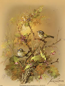 Birds in Tree S1 0769 Print Size 8 x 6 - 751