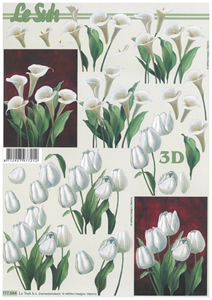 White Flowers - 777044