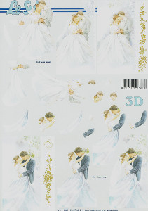 Bride and Groomand#39 s Wedding Day - 777108