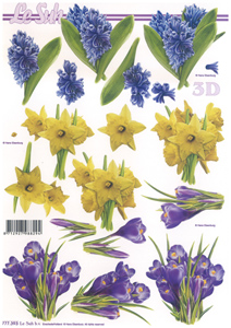 Crocuses Daffoldils Flowers - 777393