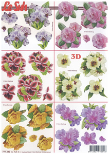 Flower Heads x 6 A4 Sheet - 777442