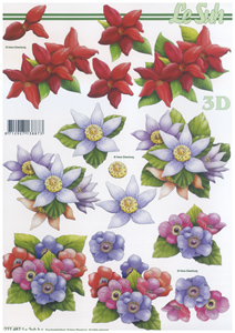 Flower Heads A4 Sheet - 777487