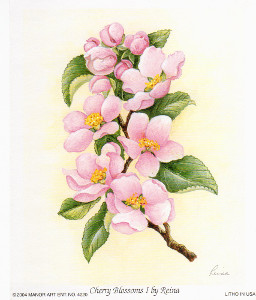 Cherry Blossoms 1 Size 5 x 4 - 727