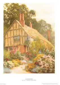 Summertime Pack of 5 prints Size 10 x 8 - 815