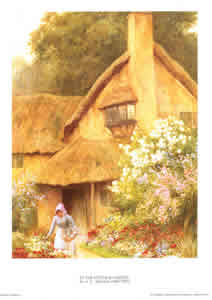 In the Cottage Garden Pack of 5 prints Size 10 x 8 - 816