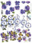 Purple Pansies - 8215116