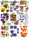 Pansies - 8215190