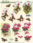 Butterflies - 8215220