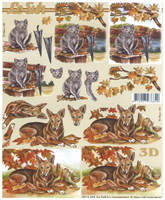 Cat and Dog in Autumn - 8215265