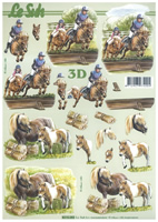 Horse Riding and My Little Pony - 8215282