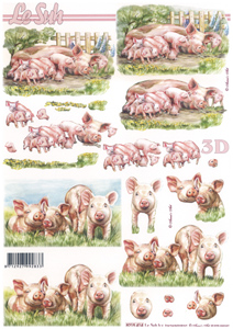 Pigs and Piglets - 8215414