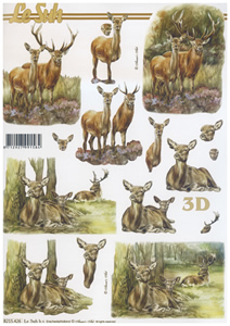 Stag, Deer A4 Sheet - 8215426