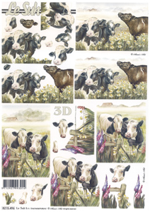 Cows in daisies - 8215496