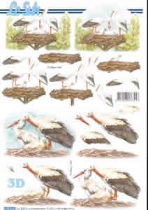 A4 Sheet Birds Nesting - 8215596 B