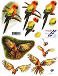 Parrot - 821574