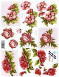 Pink Flowers - 821579