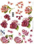 Pink Flowes - 821582