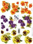 Pansies - 821583